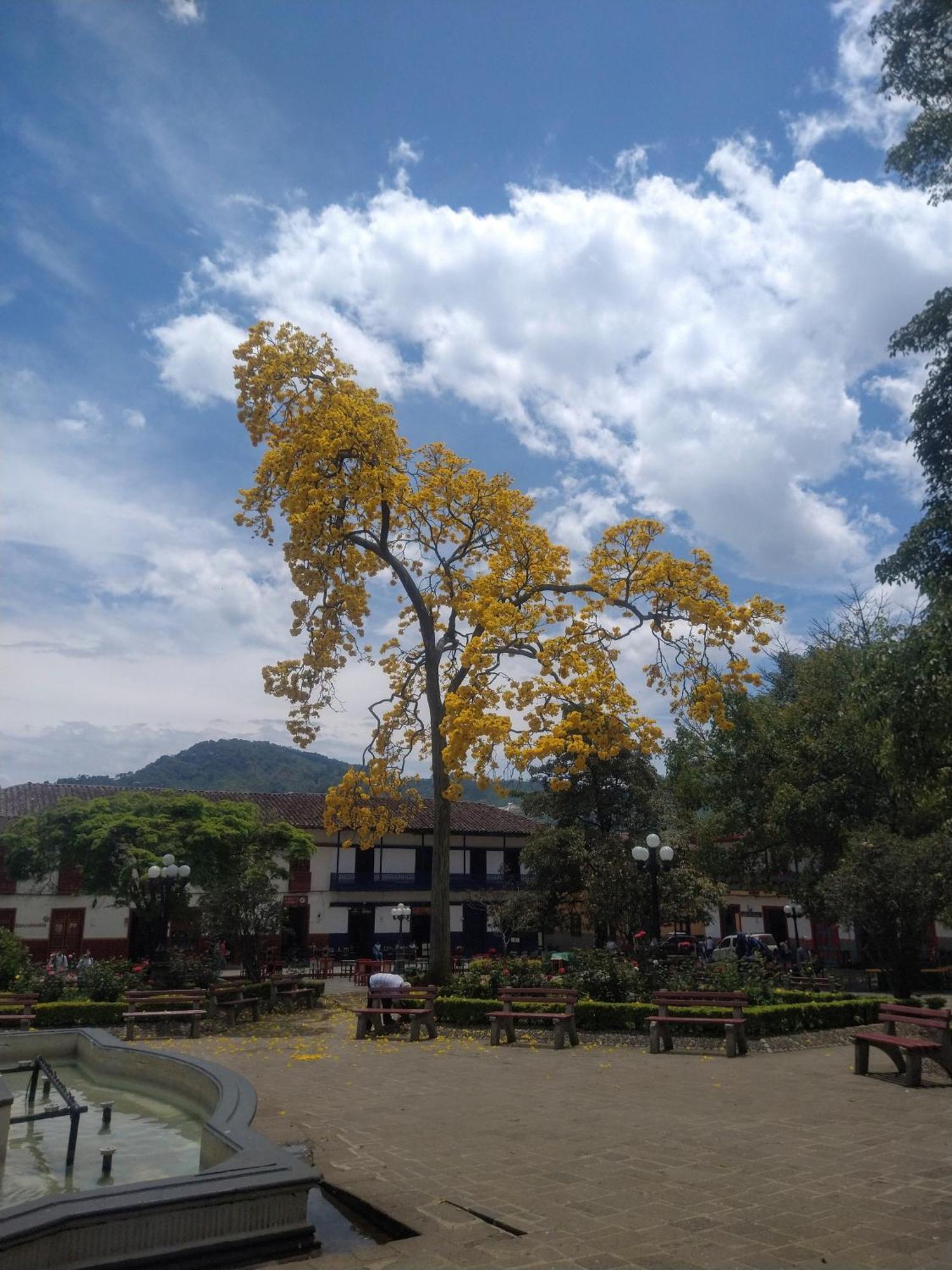 Montesco Διαμέρισμα Jardín Εξωτερικό φωτογραφία
